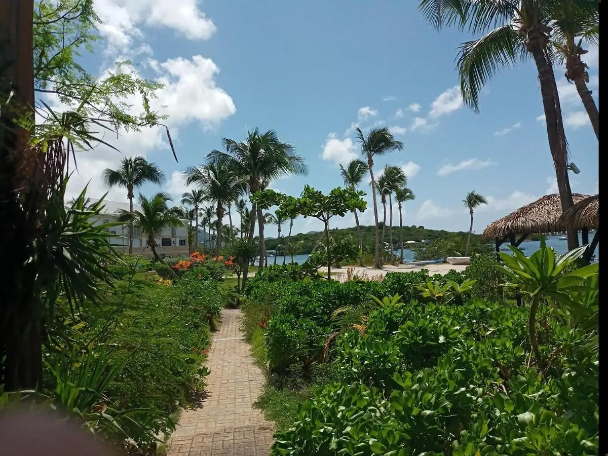 Le Paradis C'Est Ici Baie Nettle Apartment