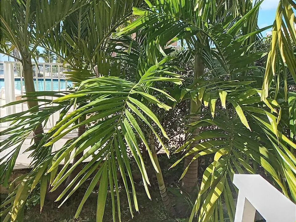 Le Paradis C'Est Ici Baie Nettle