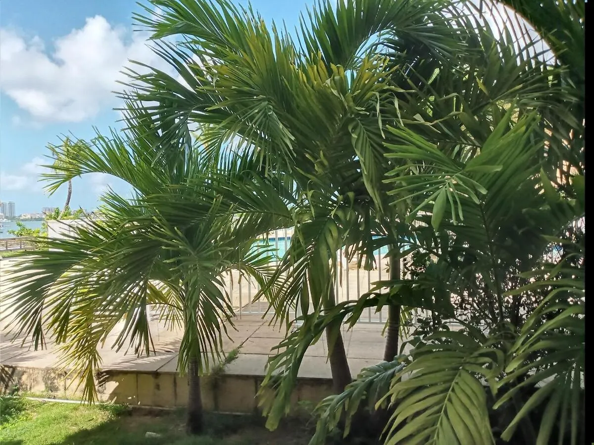 Le Paradis C'Est Ici Baie Nettle Sint Maarten/Saint Martin