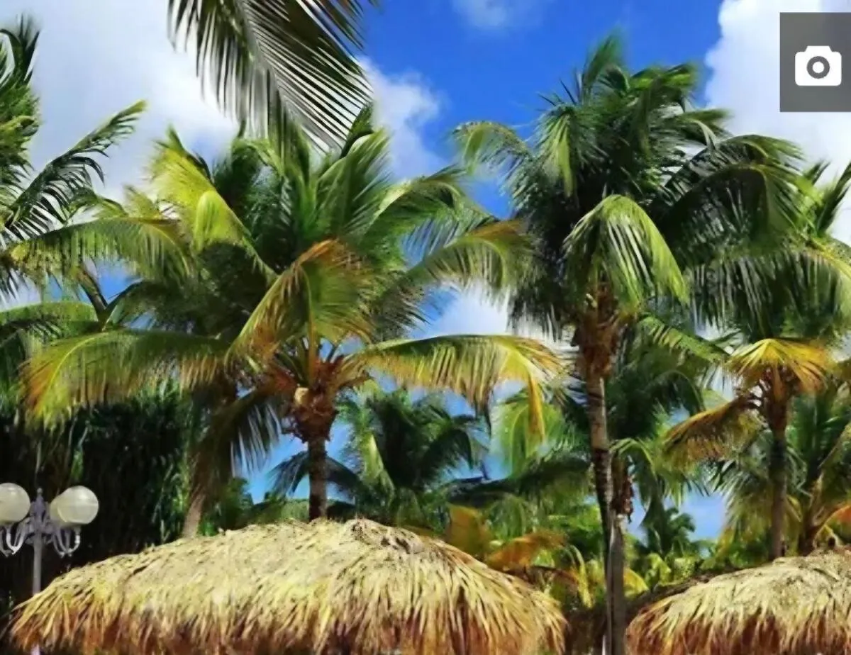 Le Paradis C'Est Ici Baie Nettle