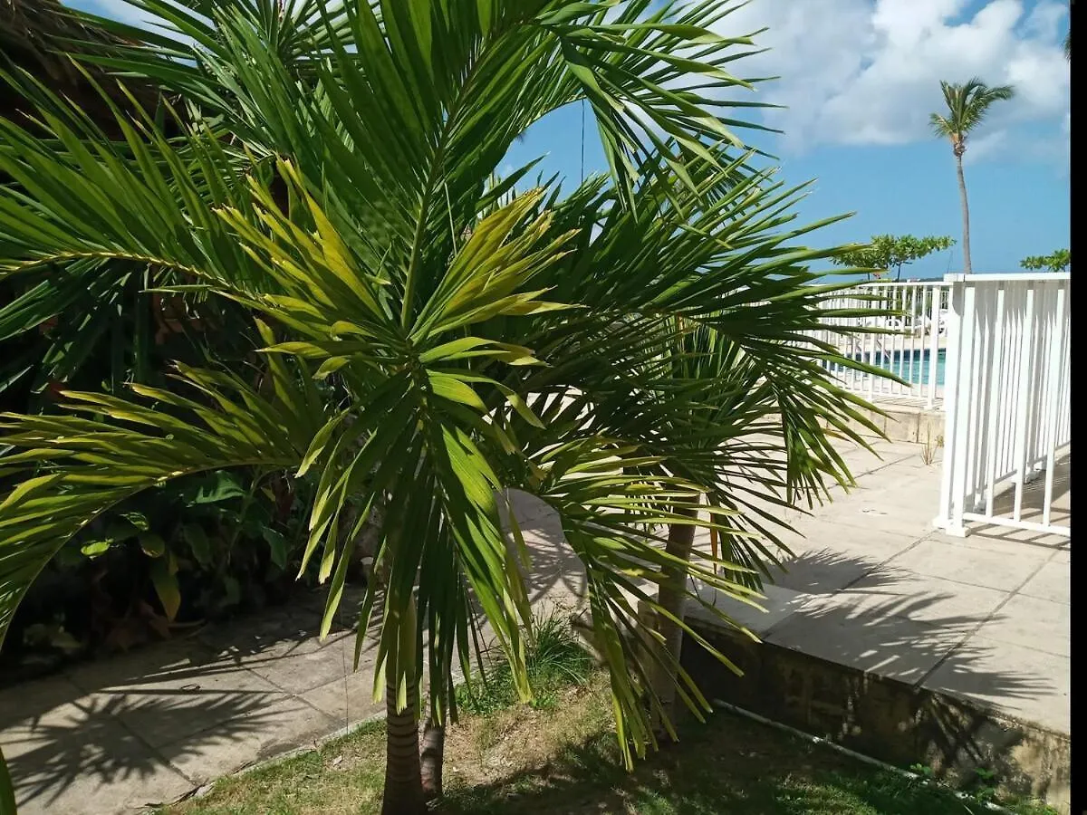 Le Paradis C'Est Ici Baie Nettle Apartment
